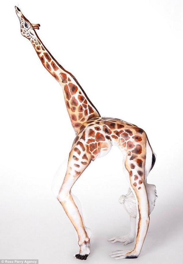 GabriellaSwerl's tweet image. “@Zeit_Heist: Not all is as it seems... #ZeitHeist http://t.co/kmYKZv5bsM”