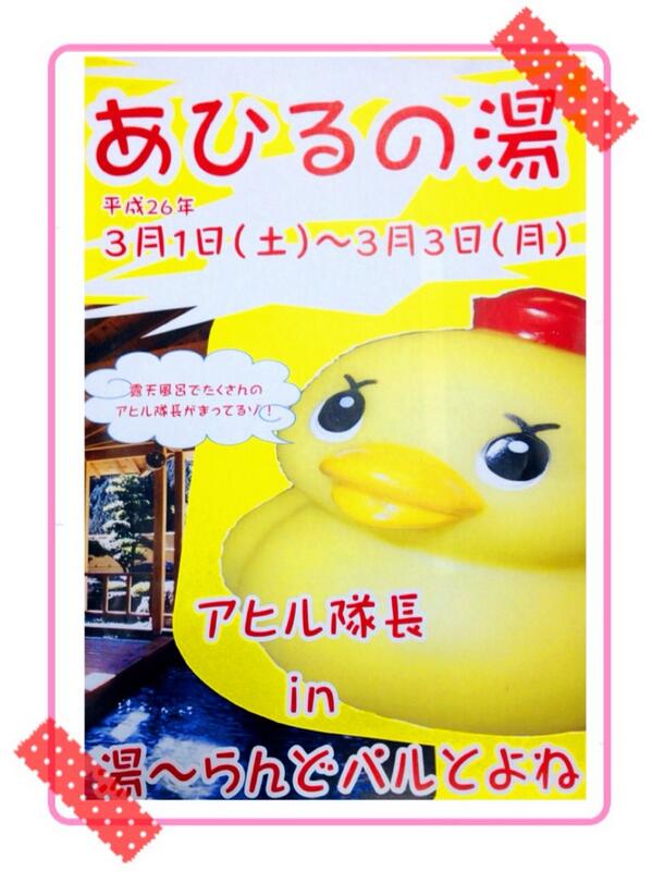 chausu_kogen's tweet photo. スキー場から車で約25分=3 《湯〜らんどパルとよね》では3／1〜3日間たーくさんのあひるちゃんとお風呂に入れますw 是非お立ち寄りくださーいo(^▽^)o http://t.co/CXXpiJ4ukE