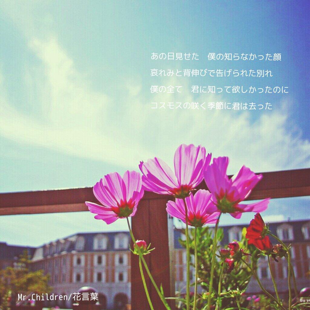 Masaya على تويتر 花言葉 コスモスの花言葉は 乙女の純情 空に向かって咲くコスモスのように鮮やかな笑顔を振りまいていた君 そんな彼女の 純情 を期待していたのに 日々の中ですれ違っていく二人 コスモスの咲く季節に君は去った Http T Co Masaya على تويتر 花言葉 コスモスの花言葉は 乙女の純情 空に向かって咲くコスモスのように鮮やかな笑顔を振りまいていた君 そんな彼女の 純情 を期待していたのに 日々の中ですれ違っていく二人 コスモスの咲く季節に君は去った Http T Co