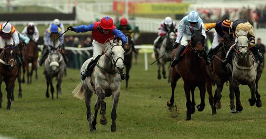 NationalBets tweet picture