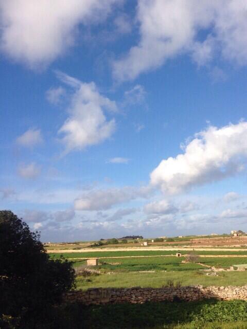 綺麗だったー*\(^o^)/*