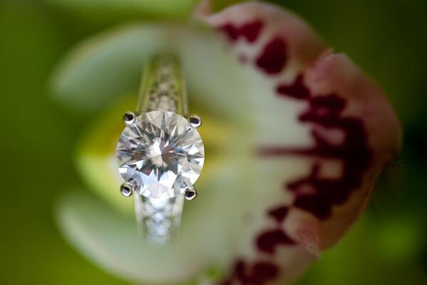 WGMHawaii's tweet photo. A green orchid serves as the backdrop for this stunning engagement ring.  #Halekulani #wedding  Photo by Visionari. http://t.co/4a18yd7pov