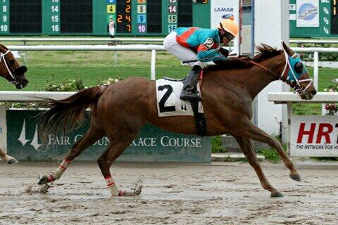 Tim Glyshaw (@tgly) on Twitter photo Peytonville winning at <a href="/fairgroundsnola/">Fair Grounds Race Course & Slots</a>. <a href="/MPedrozaJr/">Marcelino Pedroza</a> @natalieglyshaw <a href="/jcpaulley/">Joe Paulley</a> Peytonville winning at <a href="/fairgroundsnola/">Fair Grounds Race Course & Slots</a>. <a href="/MPedrozaJr/">Marcelino Pedroza</a> @natalieglyshaw <a href="/jcpaulley/">Joe Paulley</a>