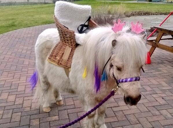 NeighandPlay tweet picture