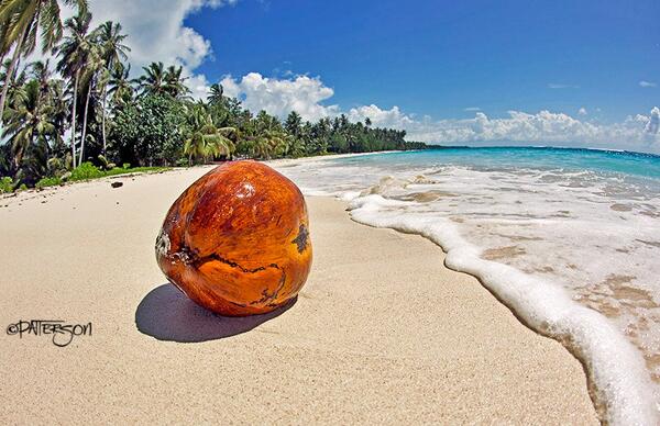 SPARGSPALMS's tweet image. No comment..