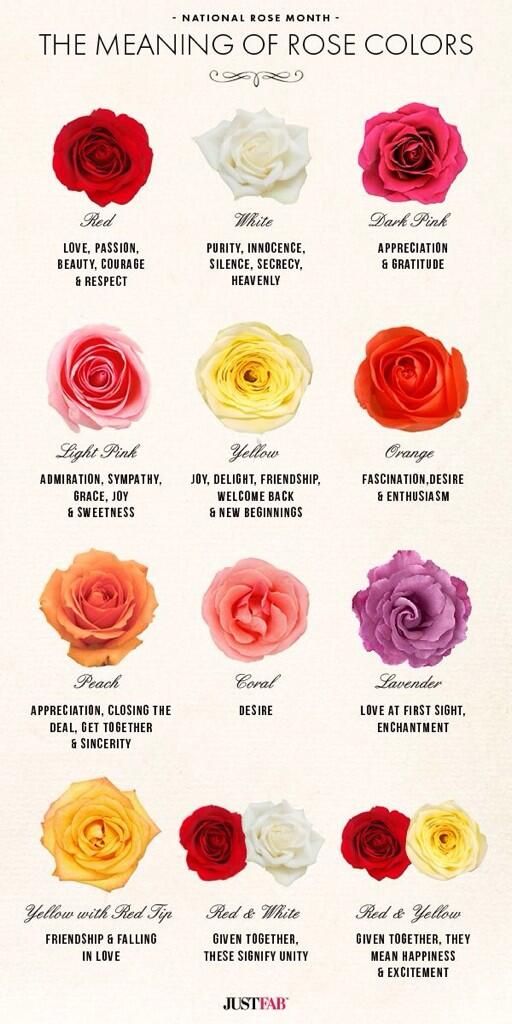 ForYOURGirl_'s tweet image. The meaning of rose colors😍