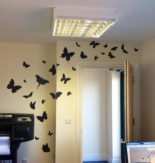 Graphitech2's tweet photo. Spring has Sprung in the Graphitech Office! http://t.co/Xg8af90SRu