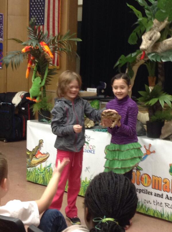 clarelenz1's tweet photo. Girls with a bullfrog! @dhrainey #MannSchool http://t.co/U4ul4omfWD