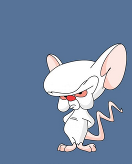thesamcrow's tweet photo. @rawsaysnow ela parece com o cérebro http://t.co/ItYigaWolt