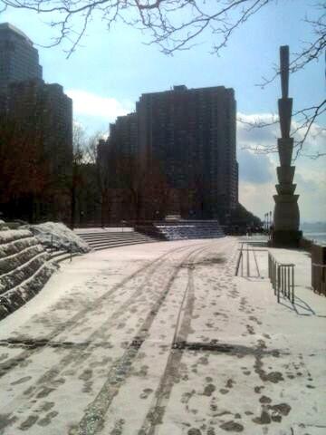 Beardroller's tweet photo. Spoke too soon. GOING OFF-PISTE. How'd you like them apples!? #charity #bladeroller #highroller #rollerblading http://t.co/A6HR1XlXAP