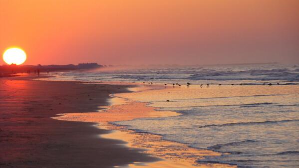 shannonblynch's tweet image. Doing my best to sleep for the majority of the next three days #kiawah #getmetosaturday