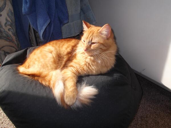Safe and Snug tweet media