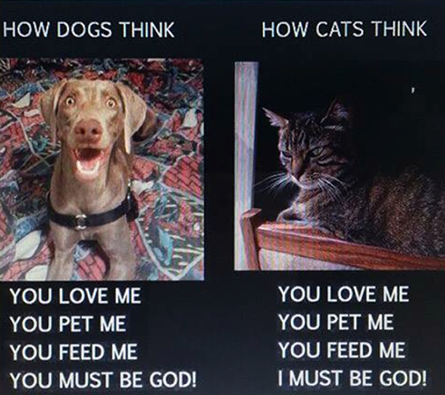 Murray Hunter A Dog Thinks The Master If God While A Cat Thinks S He Is God Http T Co 12dzqy85zp