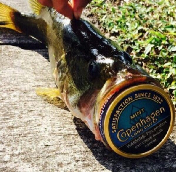 BootyPicNick's tweet image. such a bad ass picture...