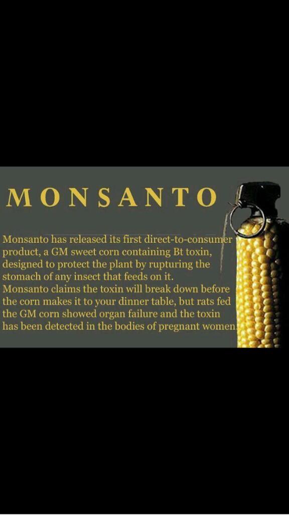 WakeUpBot's tweet image. 