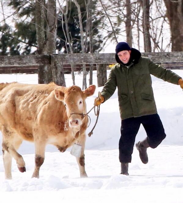 Люди ведут коров. Тащили коровы. Коровы в индонезии. Бык тащит плуг. Бык деревенский.