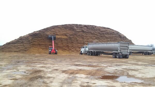 Now that is a big pile of corn silage. Aquilla, TX. <a href="/on_agfax/">AgFax Media LLC</a>