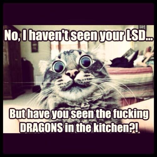 “<a href="/eats_everything/">TwEats Everything</a>: Last one for the night. It's not groundbreaking, but fairly amusing... ” lmaooooo