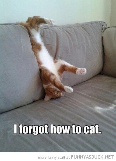 corts's tweet image. 