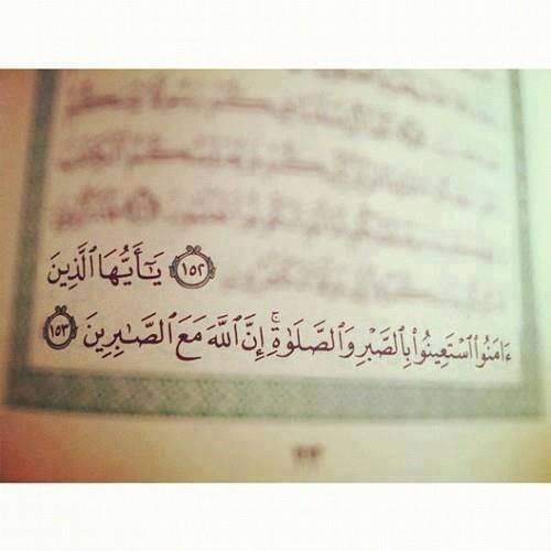 يارا (@yaraaeslam10) on Twitter photo 