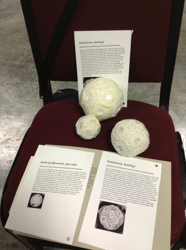 Dr_HelenSmith's tweet photo. Knitted emiliania huxleyi at #2014OSM by Mella-Flores poster 3005, go check it out! http://t.co/OmfI7aiK7V