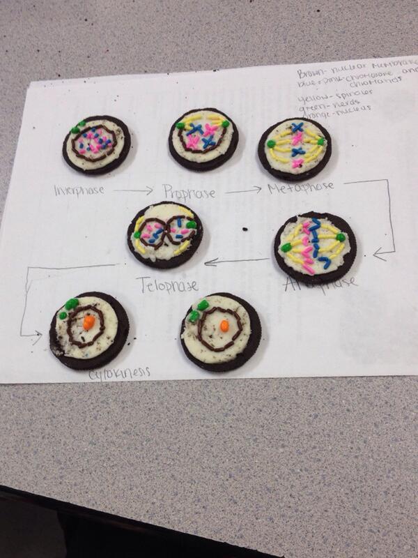We had fun playing with our food AND learning about #mitosis in #biology class today! #oreos #educhat