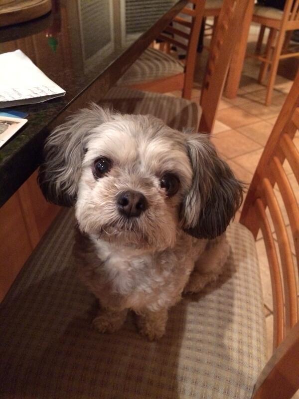 cgternes's tweet photo. Are you finished working yet mom? http://t.co/gu7Zmhtmac