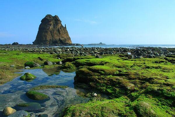 DD_Winardi's tweet photo. RT @jr_tambunan: Surut Papuma http://t.co/1LPdofg6NN