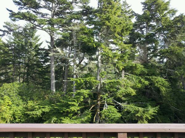 karenstewardnol's tweet image. Right here! It's Merriewood Circle!!! #myoldhome