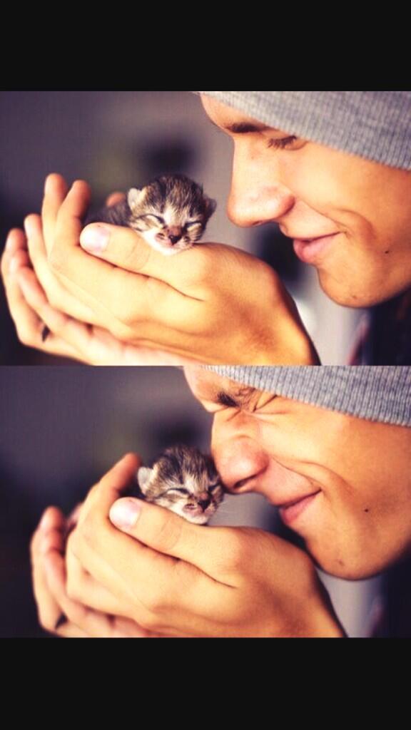 CatOverdose's tweet image. Two things girls want most