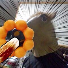 UnFav's tweet photo. @koche_ysknn http://t.co/yh3NbjsMg6