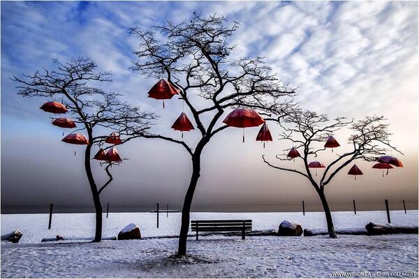 DavidGalavants's tweet photo. "Rainblossom Project" Simple. Stunning. Anonymous public art in #Vancouver, BC. Pic by @avisionphoto http://t.co/ssh6sSIVY3