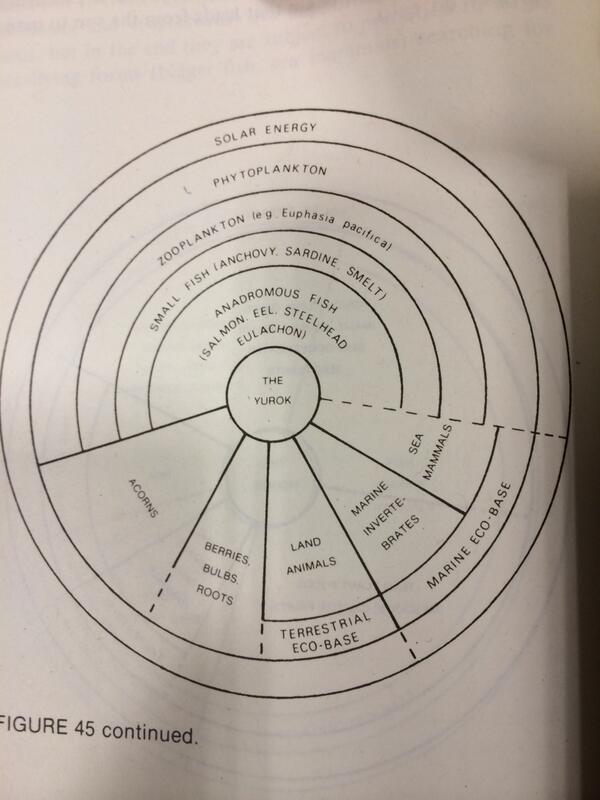 Where are the grains?? #paleo #traditionaldiet #grainbrain