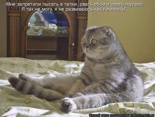 Брутальный Котэ (@bokr74) on Twitter photo 