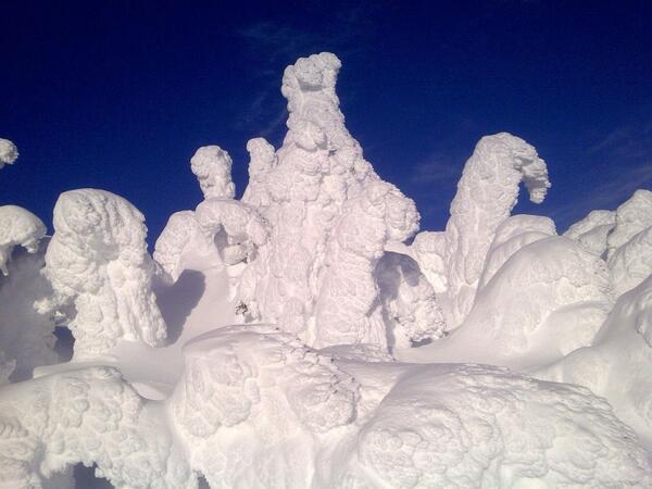 SunPeaksResort's tweet photo. RT @TourismBC: Classic snow ghost shot! #skiBC RT @lins08: Snow Ghosties!  #sunpeaks360 @TourismBC http://t.co/M4HSbCG3Jq