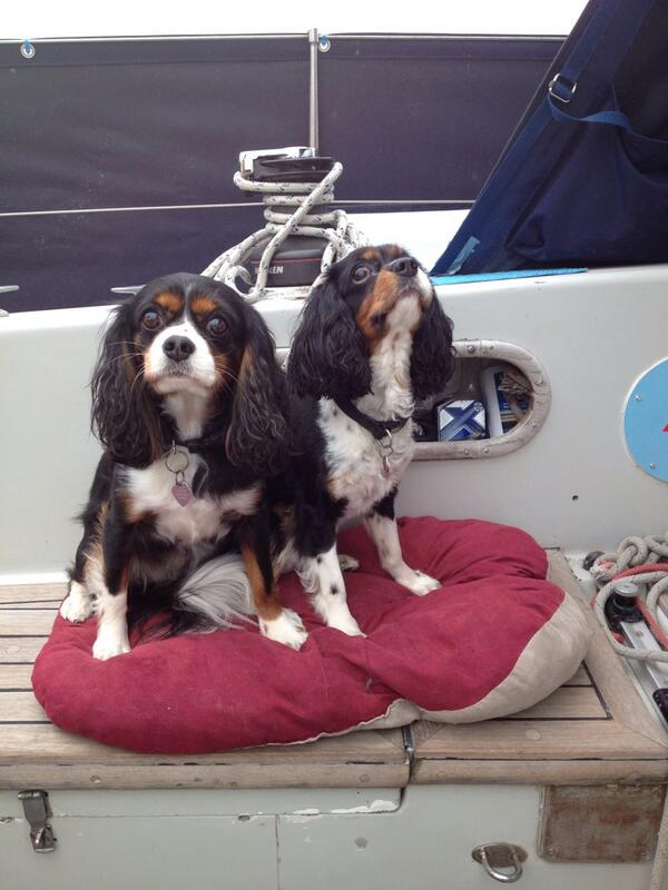 Morning people another wet one, dogs don't even want to go out.