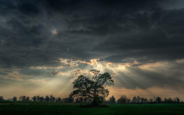 losesperamos's tweet photo. Quote of the day

"Our sorrows and wounds are healed only when we touch them with compassion."

By : Buddha http://t.co/Xn51KvHIMH