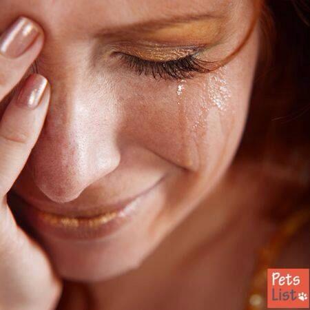 yourperfectpet's tweet photo. https://t.co/JugOszjezS #losingapet #coping #grief #pet #petlover #iloveanimals #petslist http://t.co/XDIaUuCXLX