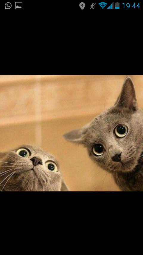RaquelQuevedo2's tweet photo. Nuestra cara al ver IRPF. @Marikiya_10 @mariajolokaa http://t.co/9EAlgXuIjW