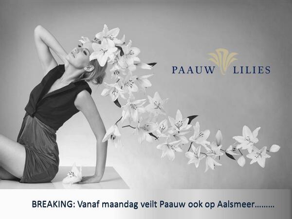 Dutchlilymaster's tweet photo. Vanaf maandag 3 maart veilen wij ook op Aalsmeer..... http://t.co/raY61t4hLx http://t.co/fm7Ec0AkXr
