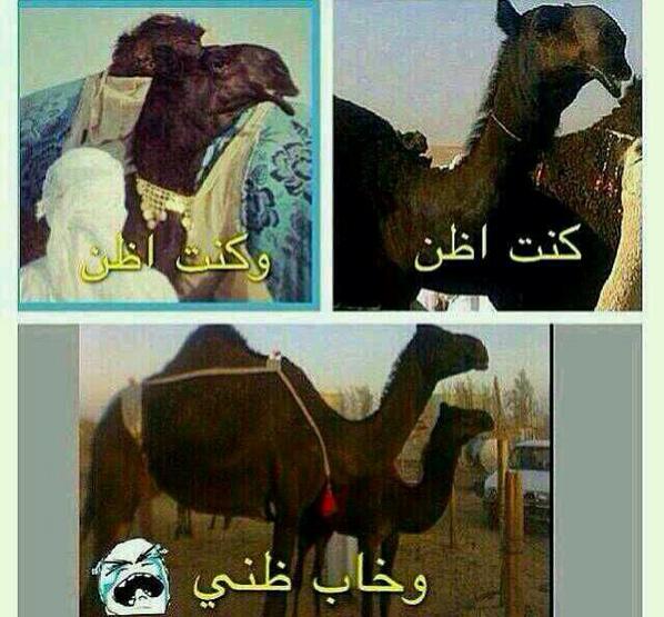 ndjsck tweet picture