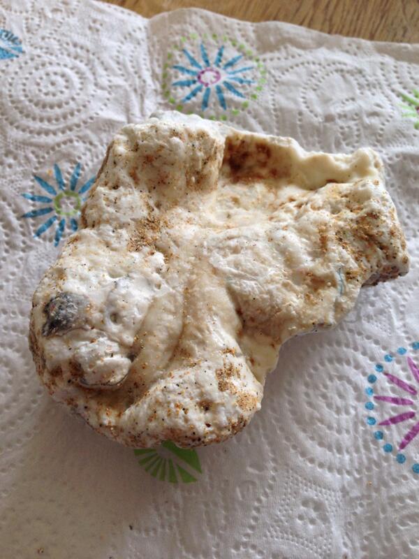 mickmclach's tweet photo. Be careful if you're walking dogs @ #Harlynbay #Padstow Found a big chunk of #Palmoil this morning!! http://t.co/FXCBPB967t