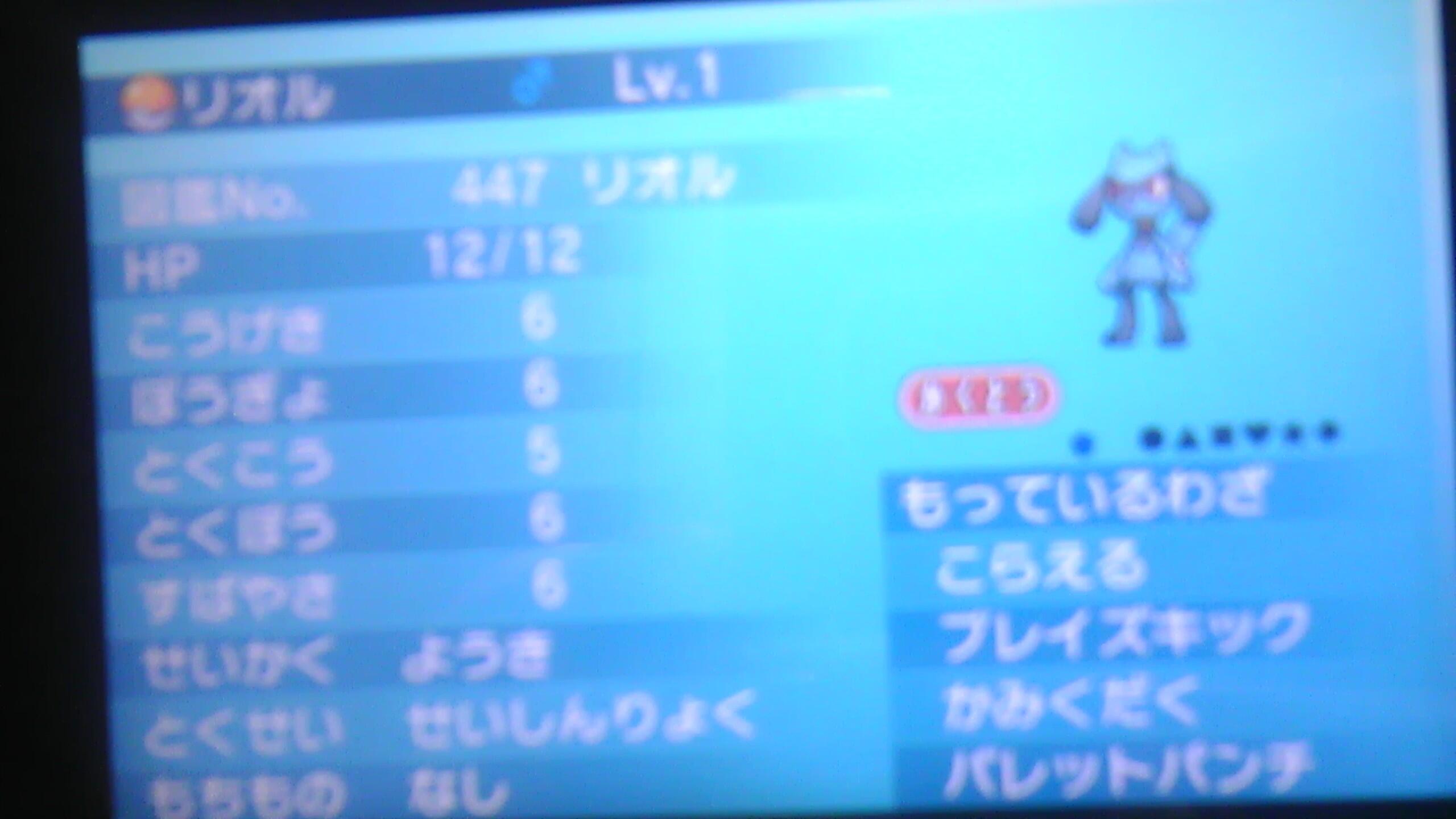 ポケモーニング 1001 Pokemon Twitter