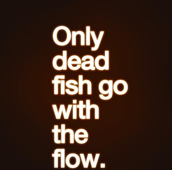 _Docinn tweet picture