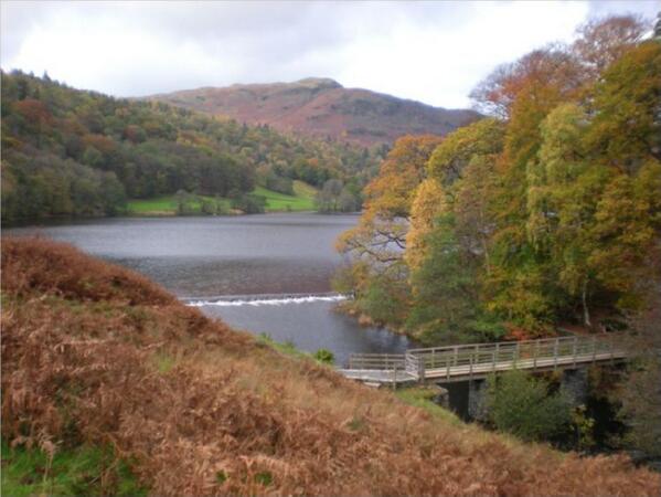 BayGardeners's tweet photo. Grasmere Helm Crag &amp; Loughrigg Walks http://t.co/EBGHQnrMqB #Grasmere #Lakes #Cumbria #lakedistrict http://t.co/OhvWuTBcmQ