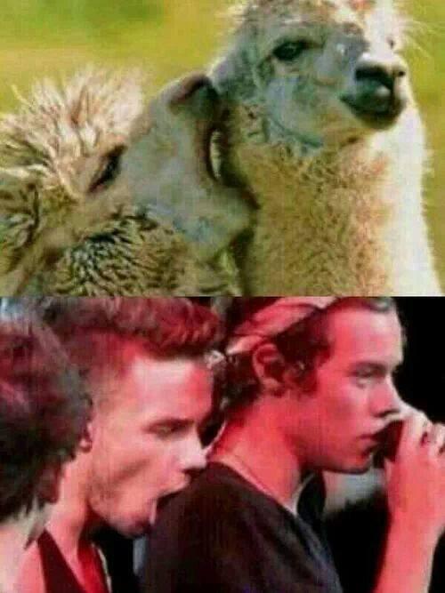 Harrystylesfrol's tweet photo. JJA. http://t.co/9WCn8VN6IK