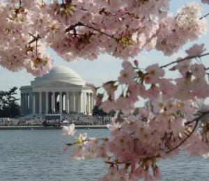 100 Free (&amp; Almost Free) Things to Do in Washington DC - See more at: washington.org/100free#sthash…