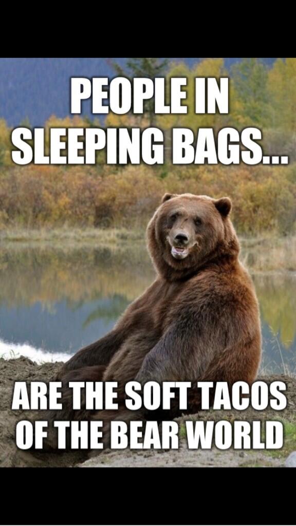 WakeUpBot's tweet image. 