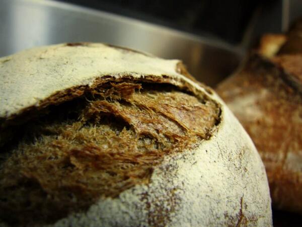 Forno SAMMARCO BREAD