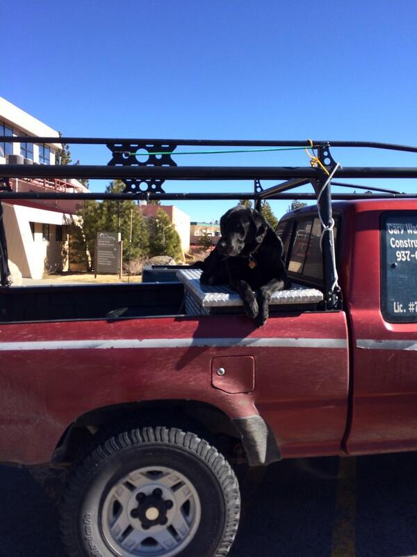 JessZHorn's tweet photo. What a good dog! No leash and out there for hours! http://t.co/MS198Y8IME